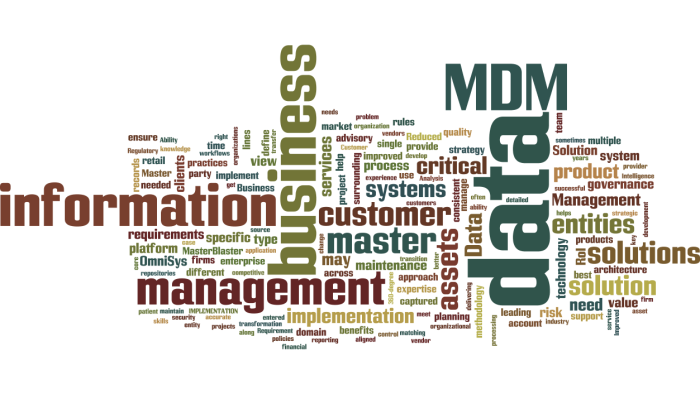 MDM_Master_Data_Management3