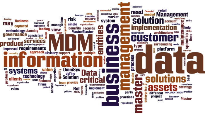 MDM_Master_Data_Management7