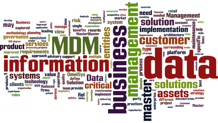 MDM_Master_Data_Management8