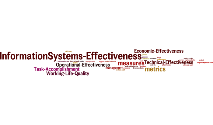 InformationSystems_Effectiveness_13